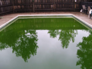 Phosphates And Their Effect On Pool Water