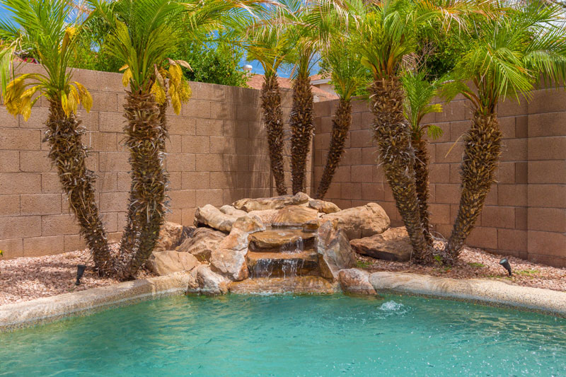 Backyard Landscaping Tips to Keep Your Pool Debris-Free