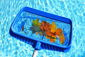 What you Need to Know About Fall Pool Maintenance